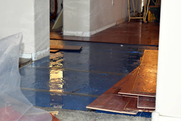 Professional Flood Cleanup technician working in Copemish, MI